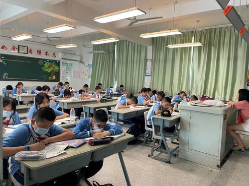 課后服務(wù)全面開花，打造有溫度的教育——教育咨詢服務(wù)的價(jià)值與實(shí)踐